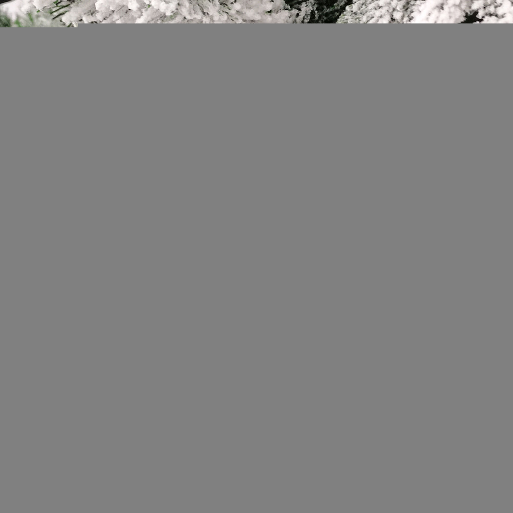 Santaco Christmas Tree 1.5M 5Ft Fairy 1.5 Meter-1942353780137922565