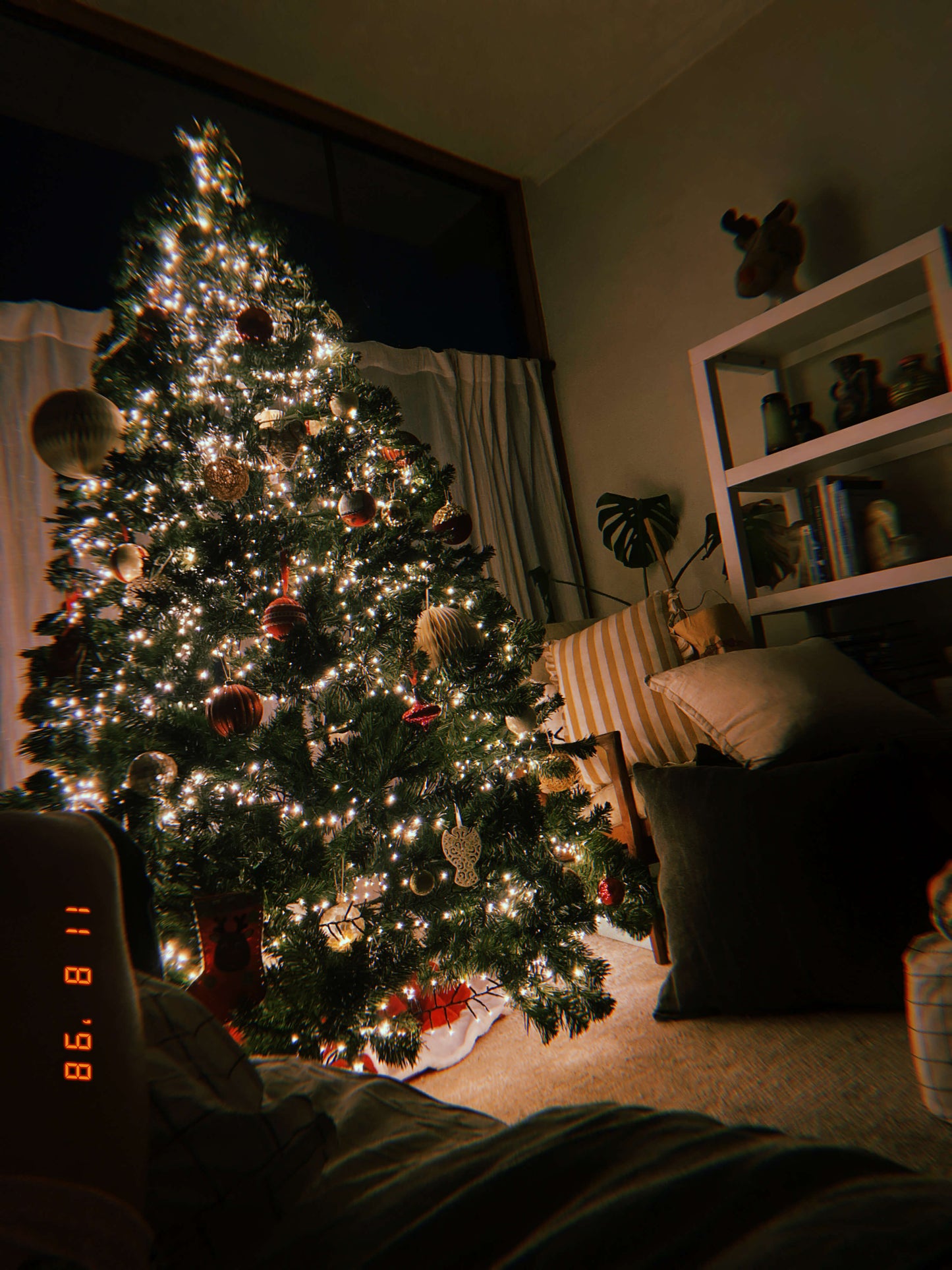 Dasher Christmas Tree 2.1M Xmas Tree Decorations 3000 LEDs 8 Light Mode by Jingle Jollys