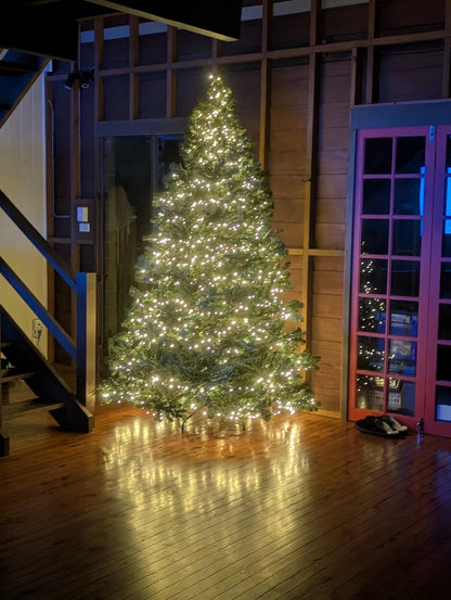 Rockin' Around Christmas Tree 2.4M Xmas Tree Decorations 3190 LEDs 8 Light Mode by Jingle Jollys
