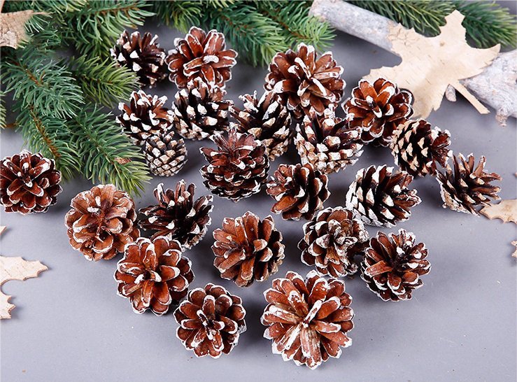 18 Christmas Natural Pine Cones Xmas Tree Hanging Home Decoration Ornament Gifts, 18x Natural w Snow Covered Pinecones | Christmas Outlet Australia