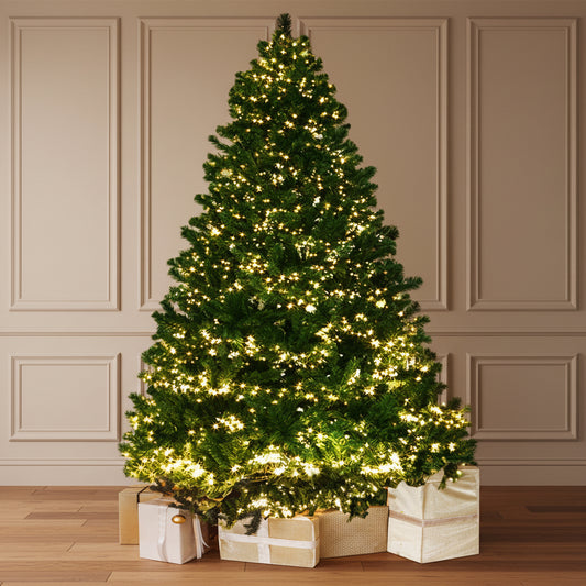 Decorated Christmas tree with lights in a living room setting