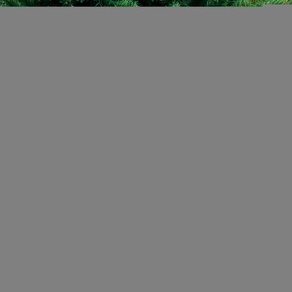 SANTACO Christmas Tree 1.8M 6Ft LED 1.8 Meter-1942353779403919365
